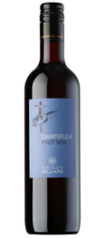 Pinot Noir Chantepleur
